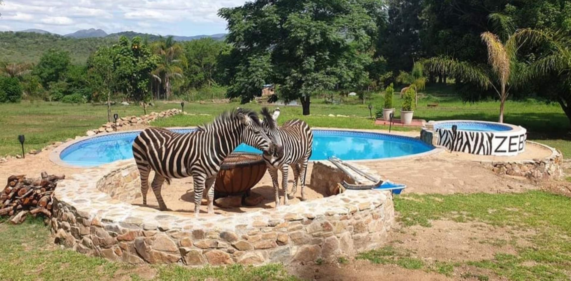 6 Bedroom Farm for Sale - Mpumalanga