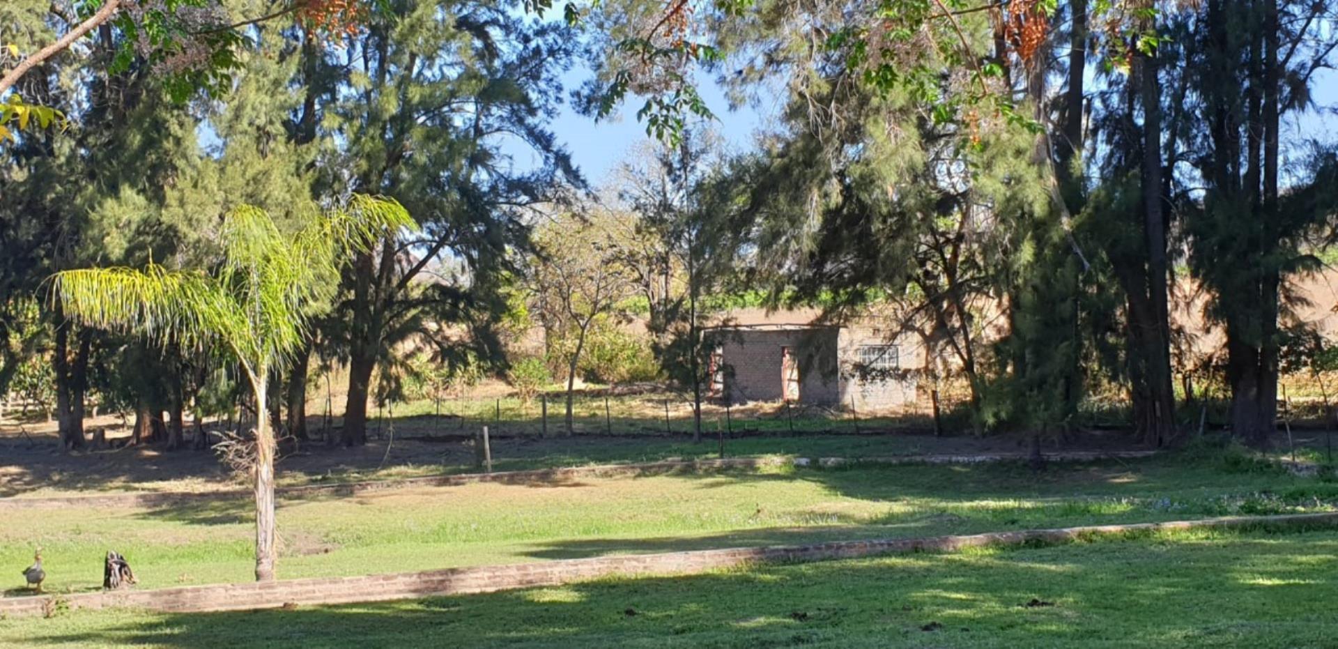754863_cott21.jpg