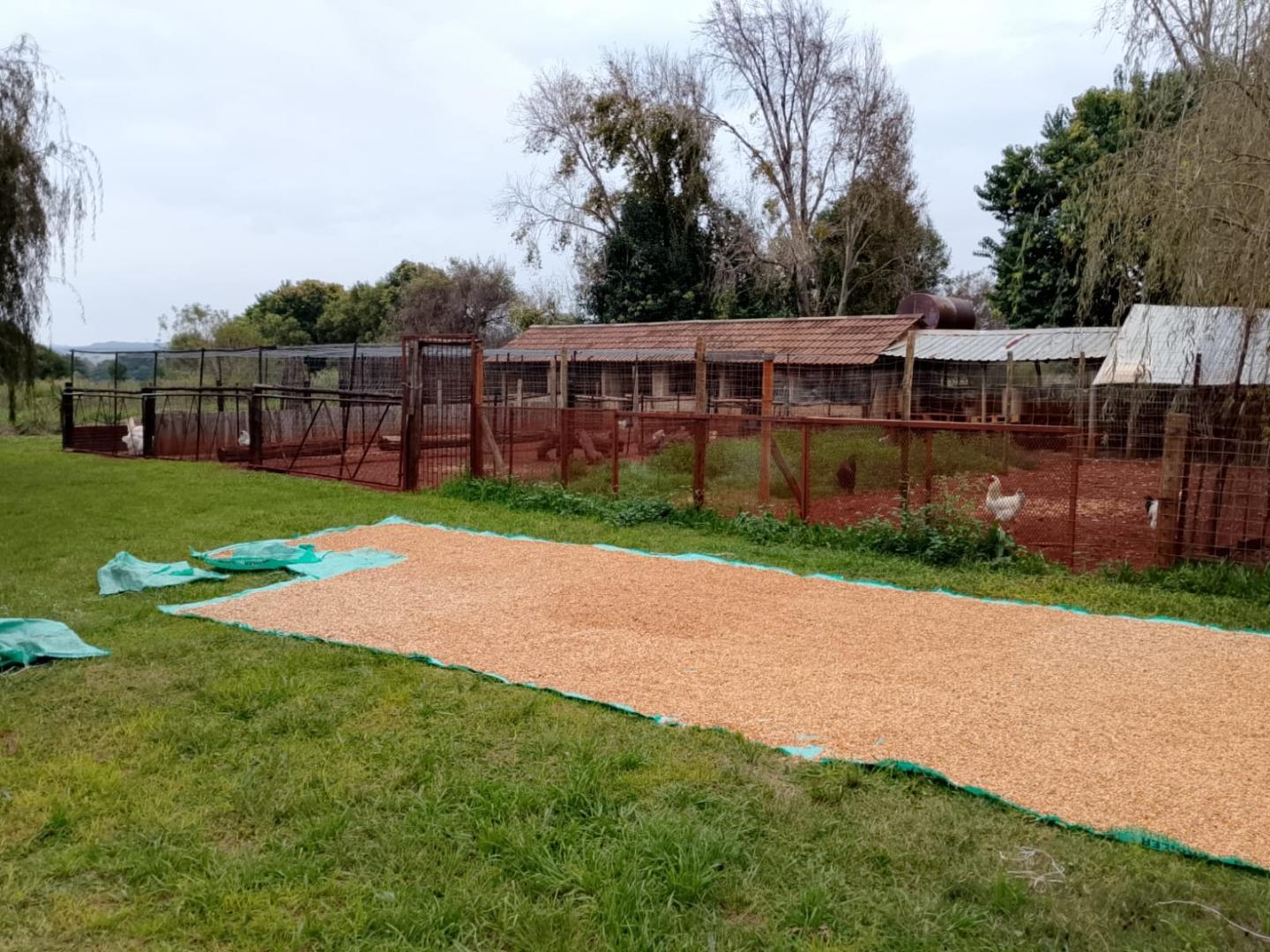 9 Bedroom Farm for Sale - North West