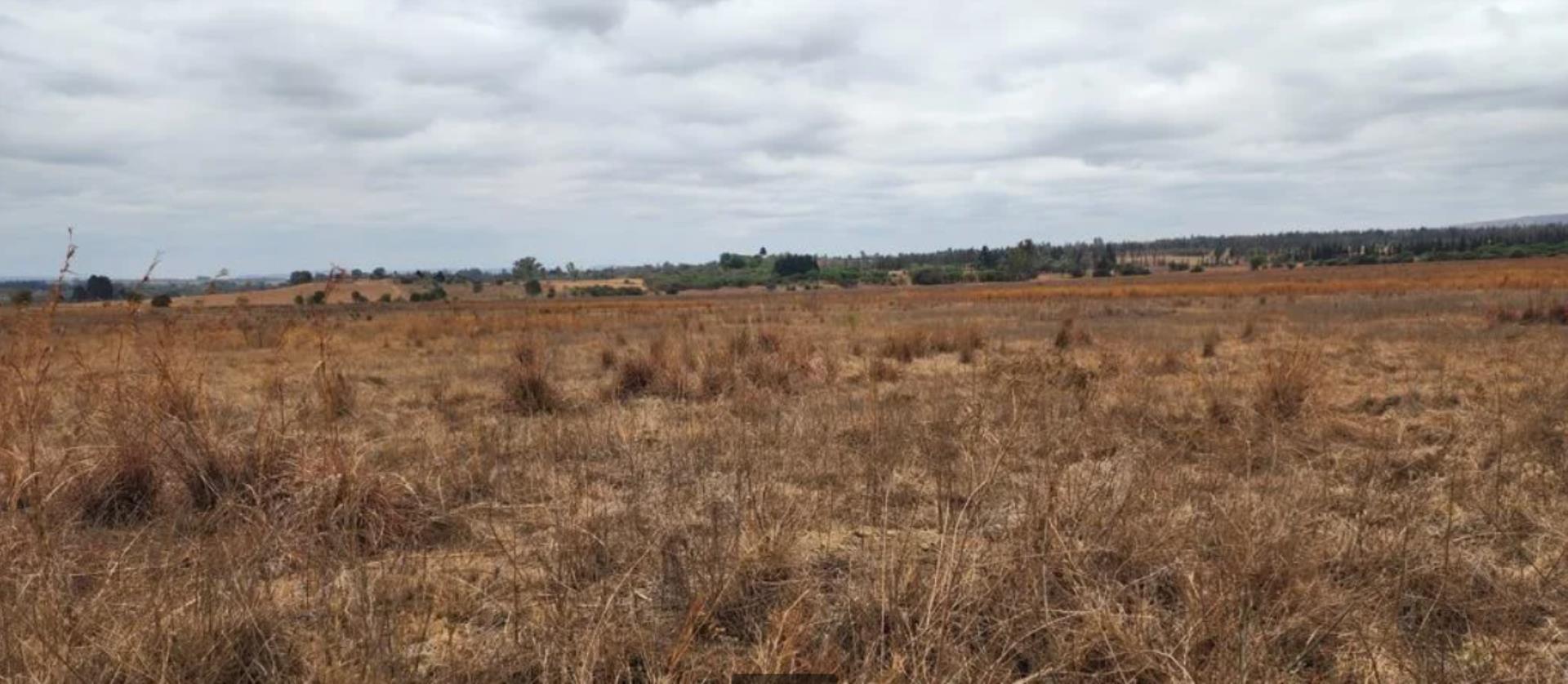 Vacant land Residential for Sale - Gauteng